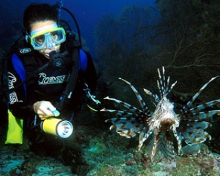 Lionfish are found throughout the liveaboard dive sites of Thailand - photo courtesy of Marcel Widmer - Seasidepix.com