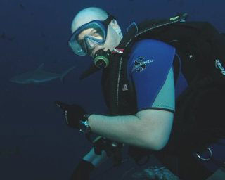 Diving with grey reef sharks in Palau, Micronesia