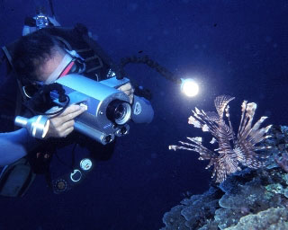 Diving at night with a spotfin lionfish - photo courtesy of Mike Greenfelder, Fiji